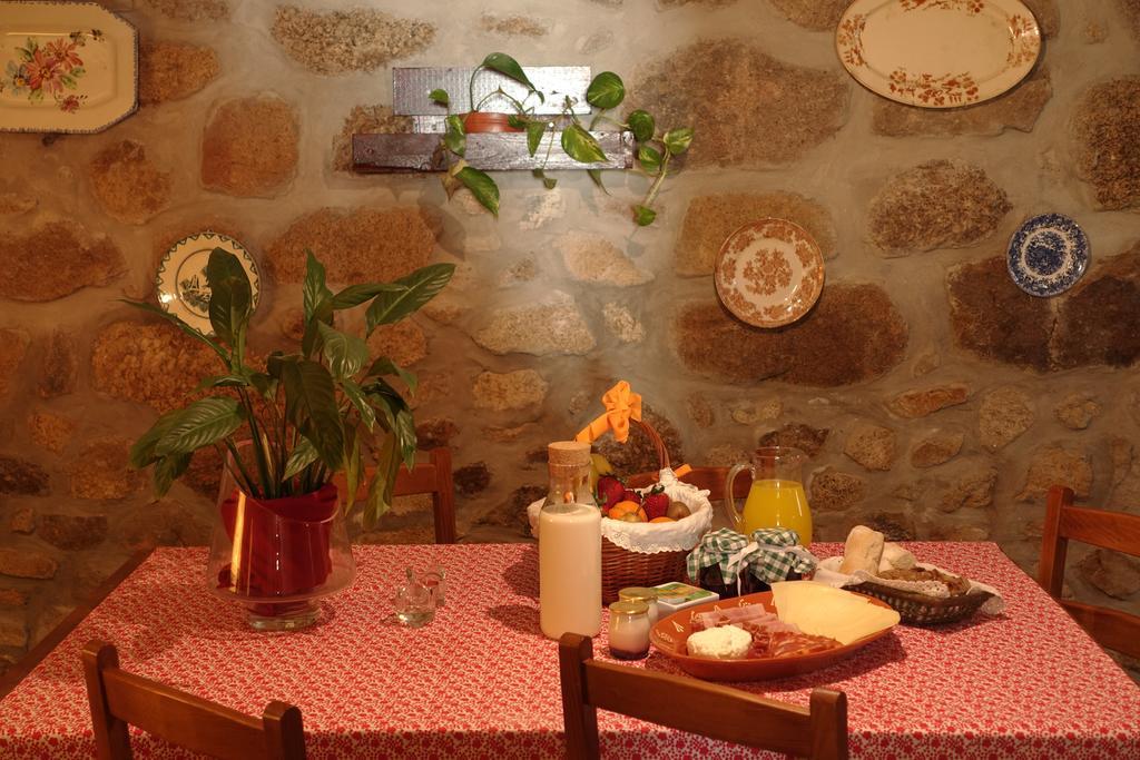 Casas Da Fonte - Serra Da Estrela Seia Exteriér fotografie